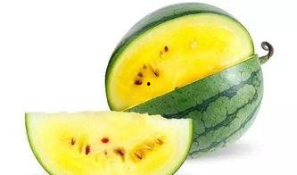 画地图吃瓜,一场视觉与味蕾的双重旅行