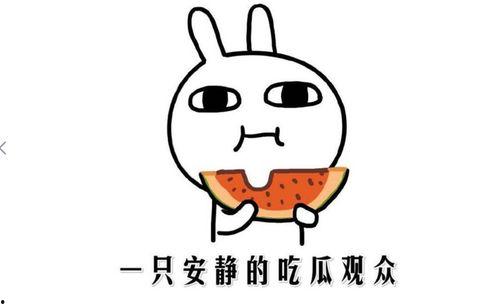 拜拜吃瓜吃瓜是什么意思,揭秘“拜拜吃瓜吃瓜”网络热语的深层含义