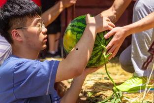 月山吃瓜视频,揭秘娱乐圈幕后故事