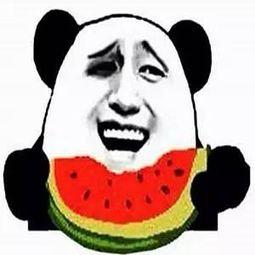 吃瓜可爱的群头像,吃瓜可爱群头像背后的欢乐时光