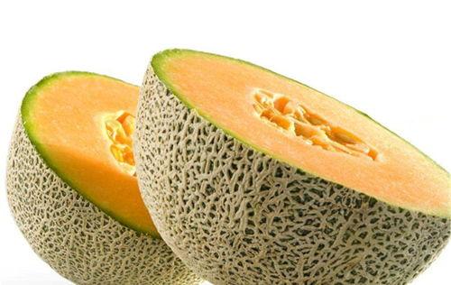 八哥可不可以吃哈密瓜