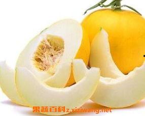 咳嗽吃伊丽莎白瓜