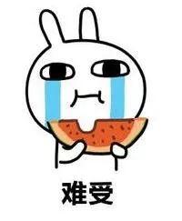 单身人士吃瓜,揭秘单身人士的美食世界