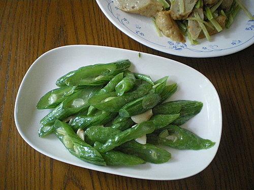 蛇可以吃瓜吗,揭秘蛇能否享用瓜果美味