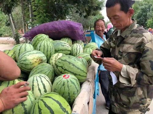 金昌老头吃瓜视频,揭秘民间趣味生活瞬间