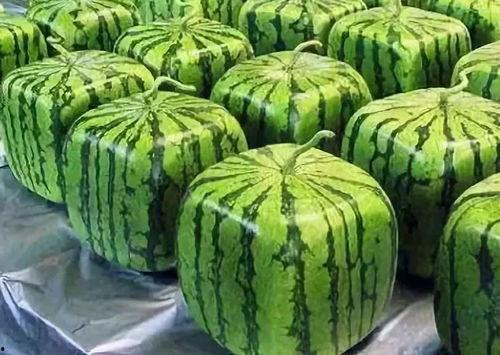 7年吃瓜,笑谈娱乐圈风云变幻