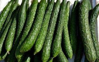 减肥可以吃丰田瓜嘛,减肥期间的理想瓜果选择