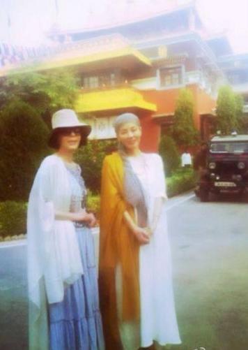 袈裟在线吃瓜,在线吃瓜背后的神秘故事