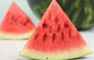 夏天吃瓜冬天吃瓜,尽享时令美味