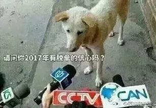 吃瓜群众卧槽图片,揭秘网络热图背后的故事