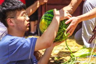 bernice吃瓜,伯尼斯的瓜界探险记