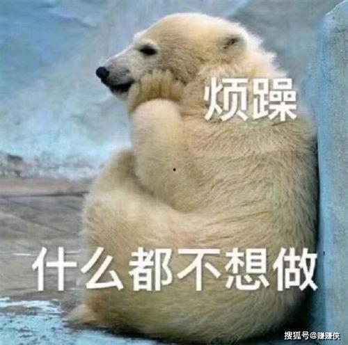 小型吃瓜群众图片图文,趣味横生的日常生活剪影