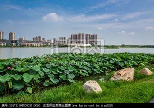 莲花湖公园吃瓜,公园里的一抹瓜香时光