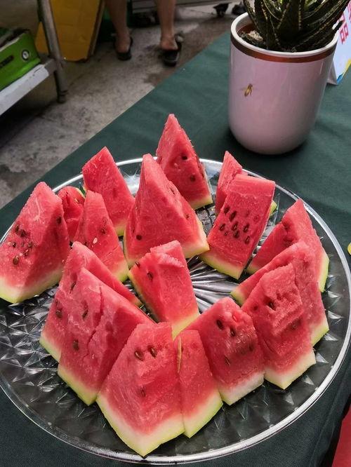 每日吃瓜大赛全国,全国瓜农竞技盛宴