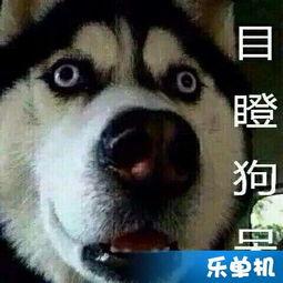 琪琪吃瓜啦,揭秘娱乐圈幕后故事