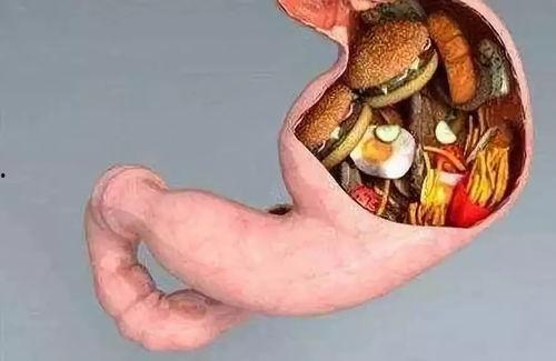 吃内脏的瓜截图,吃内脏的瓜，背后的真相与争议