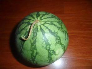 老十吃瓜,揭秘娱乐圈幕后故事