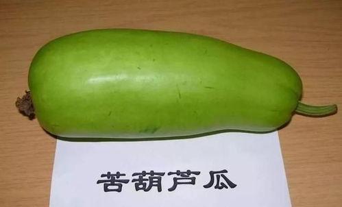 没法吃的瓜,揭秘那些无法入口的“美味瓜果”之谜