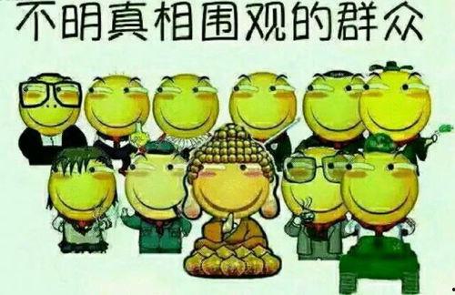 吃瓜群众快打钱,快打钱，揭秘网络热议背后的真相