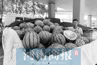 中牟吃大瓜,揭秘当地特色美食背后的故事