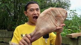 吃瓜和刘,刘生事件背后的真相揭秘