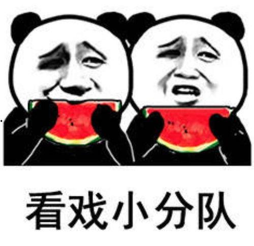 抢瓜吃表情包,表情包里的抢瓜大战