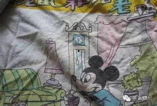 猫警长吃瓜视频,揭秘娱乐圈幕后故事