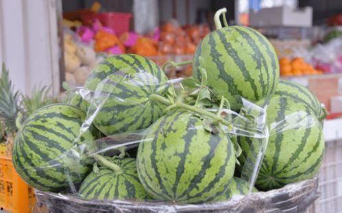 吃瓜报警器坏了,揭秘瓜界安全危机