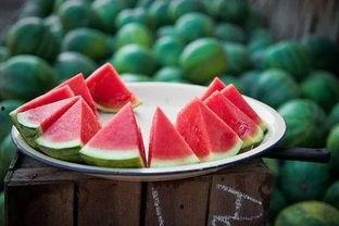 躺在瓜地吃西瓜